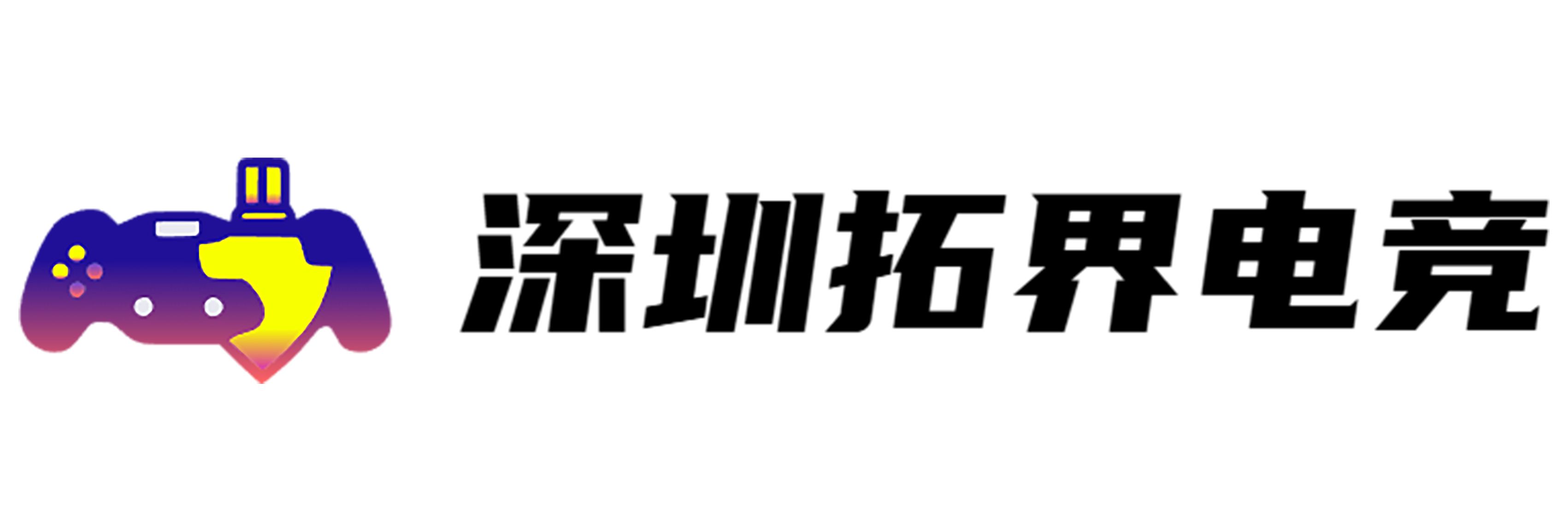 向经理